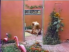 Horny male pornstar in amazing masturbation, vintage homosexual adult clip