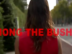 VERSO bangalia video Among The Bushes