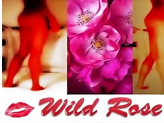 Wild Rose Anal Fucked