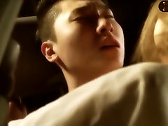 korean pornstar-nettes paar wird im auto gefickt
