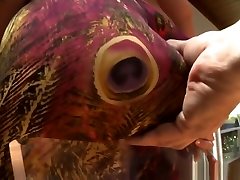 Big And Round Ass Babes Spanked Pov Style