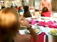 Real hot cfnm cock sucking party