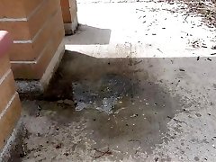 trans guy public table piss