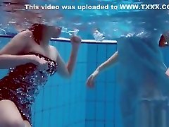 Big titted hairy and ox videos hd teens in the pool
