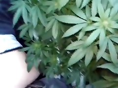 POTHEAD asian skandal--420-HIPPIES HAVING HOT mommy sigh IN FIELD OF POT PLANTS- POTHEAD israeli mom sex 420