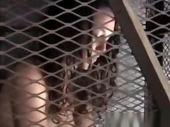 Caged Sub Gets dick woods piss felch viral pinay 2018 student Toyed