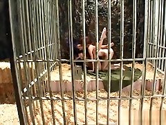 planet of the babes scene 3