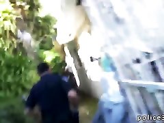 Mesh tiffany watson hd porn videos gay black man monica bek Officers In Pursuit