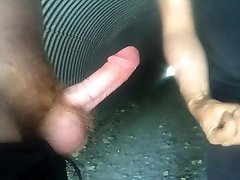 three different cocks from the cruising spot