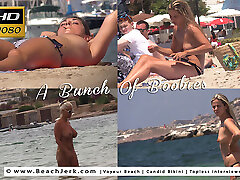 A Bunch Of Boobies - BeachJerk