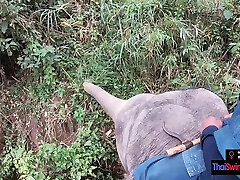 Elephant riding in grbali xxx with teen couple who had sex afterwards