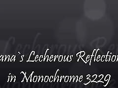 Lecherous Reflections in Monochrome 3229