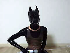 Latex Catsuit Dog Wears Pink Transparent Swimsuit