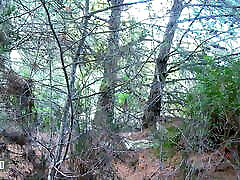 Hot latina MILF Julia Gomez gets her ass fucked hard in the woods