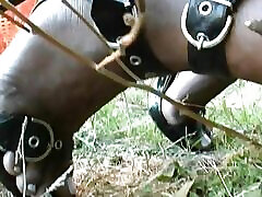 Ebony real bhai xxx with the old pig! Full Movie