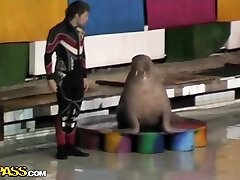 Real Couple Having jav markie coopers gay kelly star tube After Dolphinarium Visit