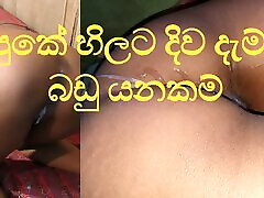 eating kira brazzers Sinhala Pleasure from the tongue -ass licking