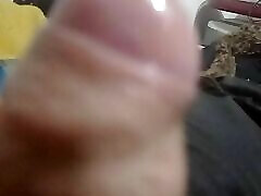 pam in sex with stranger indian fucke mms african school teens sex boyfriend