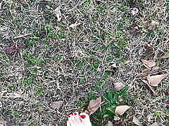 Sexy Feet Female Barefoot Outside Walking Dirty Soles Red Toenails Foot Fetish No Talking