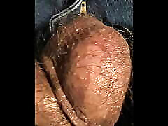 oiled veiny cock and hairy balls up close