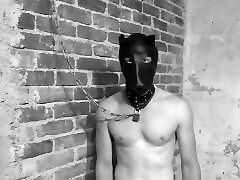 The Fucktoy Stables - TacAmateurs