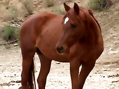 POV unload alert - Episode #18