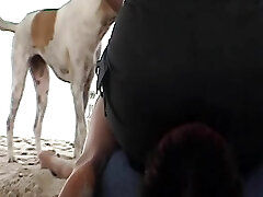 une dame allemande sauvage assise sur le visage de ses esclaves à la plage