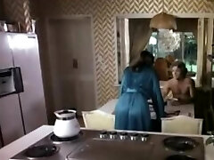 The MILF Hardcore Retropilation Classic Porno