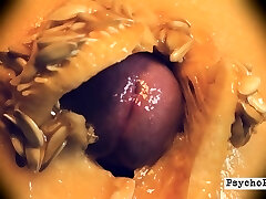 Defloration. PsychoPenis busts her knocker