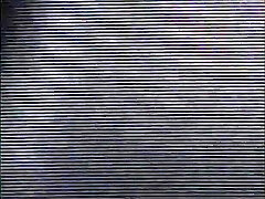 Two luxurious black lesbians finger fuck each other on the couch