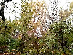 My pissing mother-in-law attracts the attention of vacationers in the park My pissing mother-in-law attracts the attention of vacationers in the park