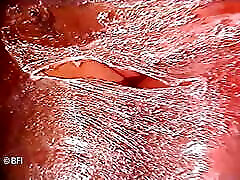 Vintage domination of milf.