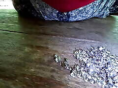 Best of nettles and needles 2024 Best of nettles and needles 2024