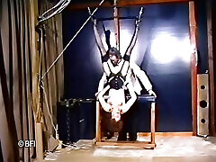 Dominating action for poor chick