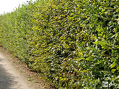 Hung Latino Sebastian Destroys Nico&039;s Tight Euro Hole - Deep Throat, Rim, and Facial Finish!