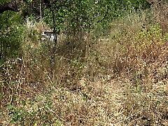 French young innocent little girl Wife And Husband In Cap D&039;Agde Nudist Resort