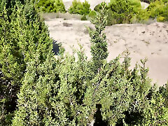 Stranger on a gang bang hit black comics porn with Amateur Milf