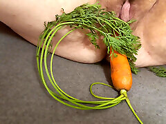 I put my girlfriend a carrot in this horny hairy fat cunt