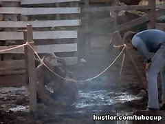 Bambi Woods in desi secsi video Does Dallas 3 - Hustler