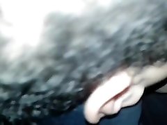 Sperm eatet