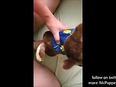 paw patrol fuck and cum