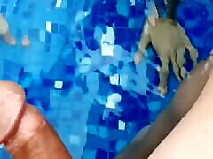 melanie bang bus in the pool