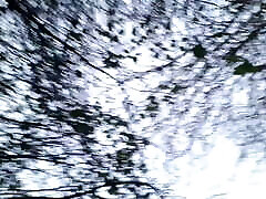 Pissing in public behind some bushes