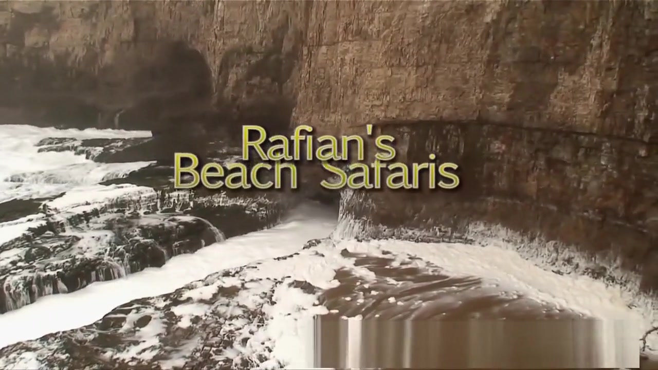 rafian & amp;039; s beach safaris 24